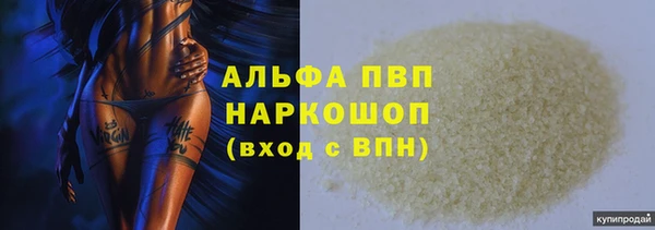 шишки Коряжма