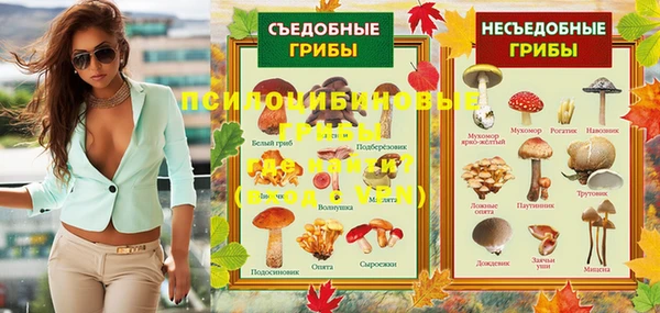 бошки Лагань