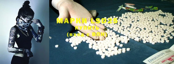 мяу мяу мука Лабытнанги